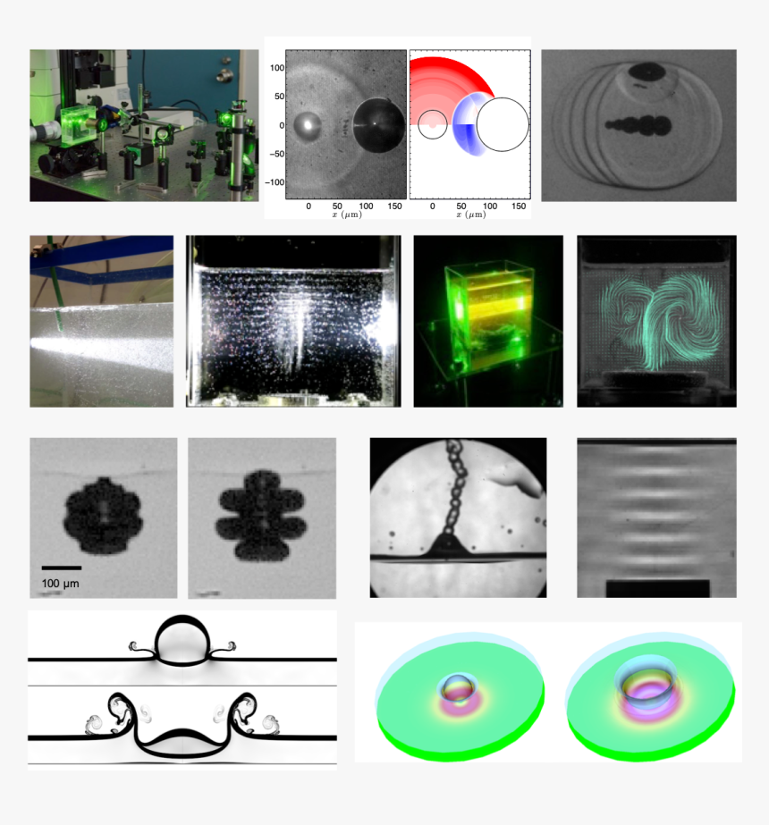 Images - Collage - Collage, HD Png Download