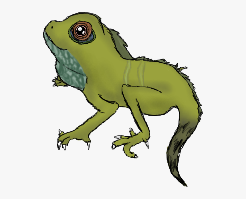 Collection Of Free Chinese Drawing Cartoon Download - Chinese Water Dragon Drawing, HD Png Download