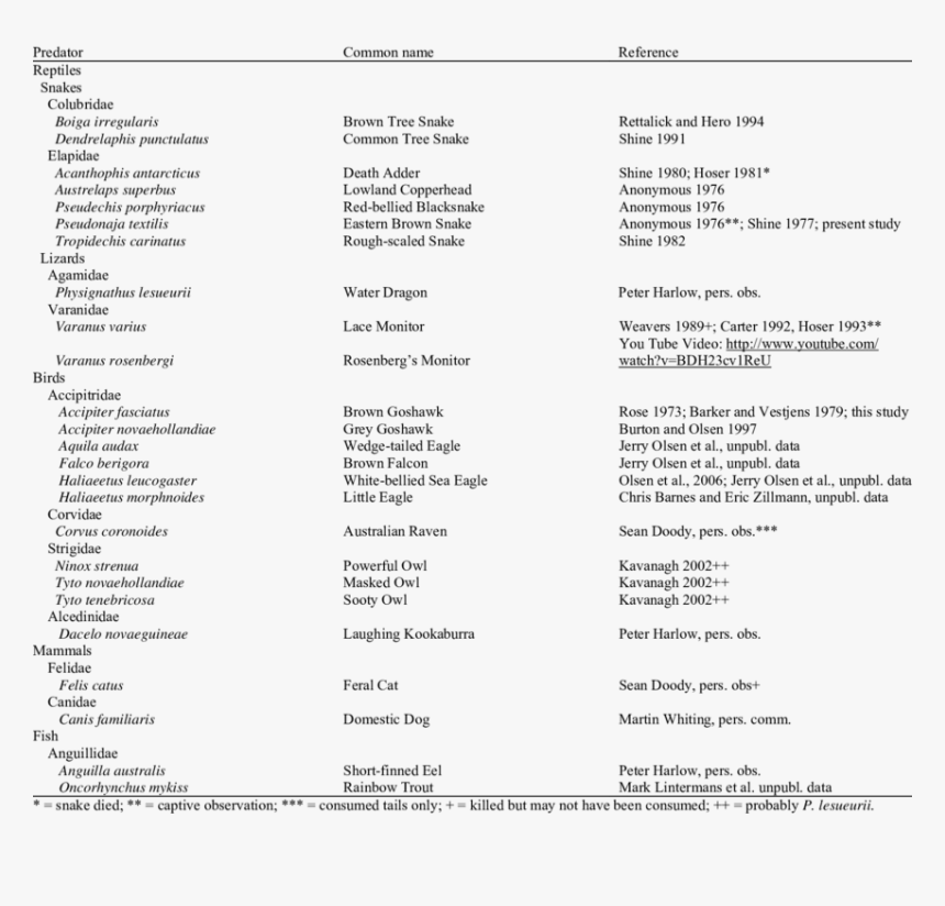 Dentist Lucila Hinojosa Grand Prairie Tx, HD Png Download