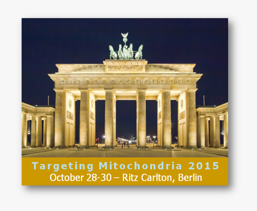 The Scientific Committee Of World Mitochondria Society, HD Png Download