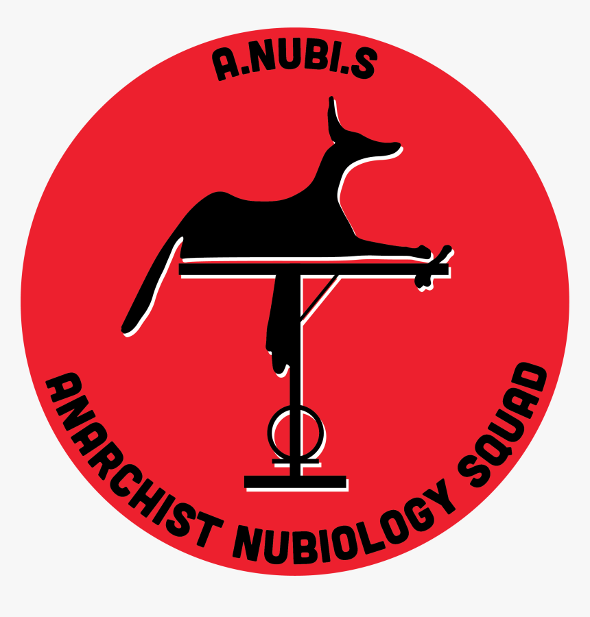 I Would Like To End With A Broader Consideration Of - Circle, HD Png Download