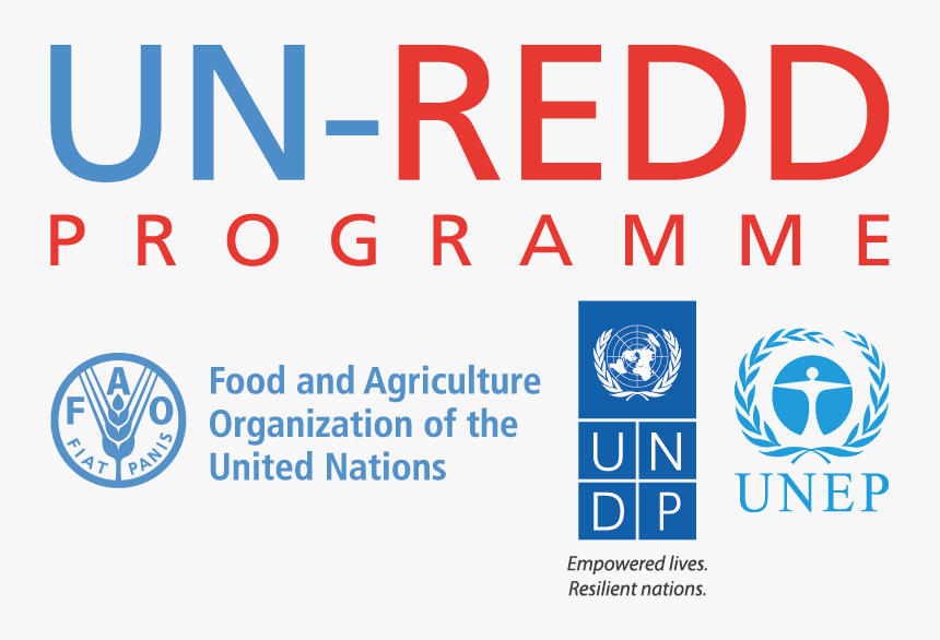 Un Redd Programme Logo, HD Png Download