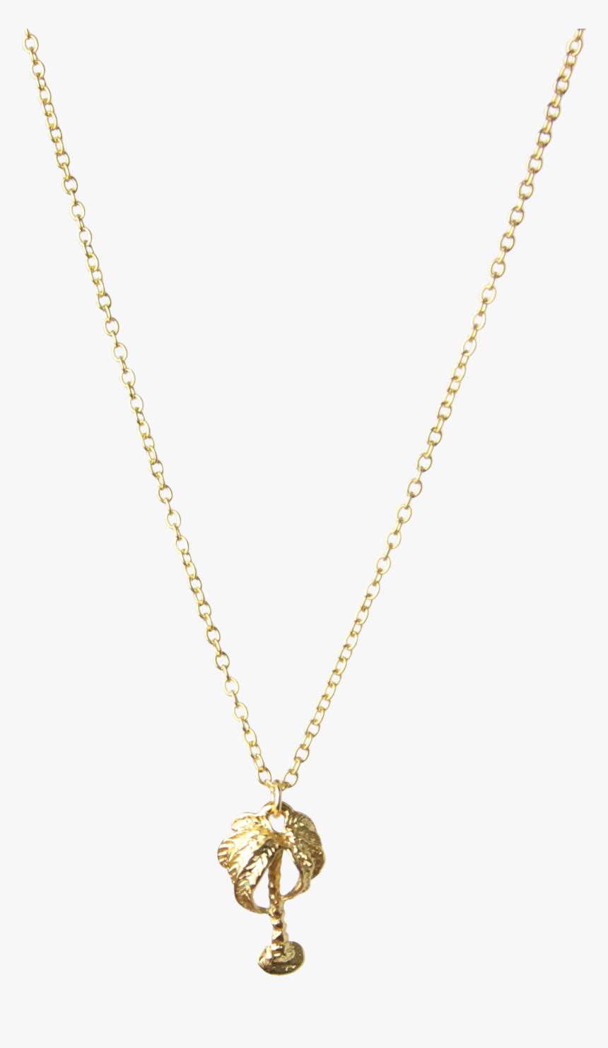 Mini Palm Tree Charm Necklace In Gold Vermeil - Gold Girl Chain Png, Transparent Png