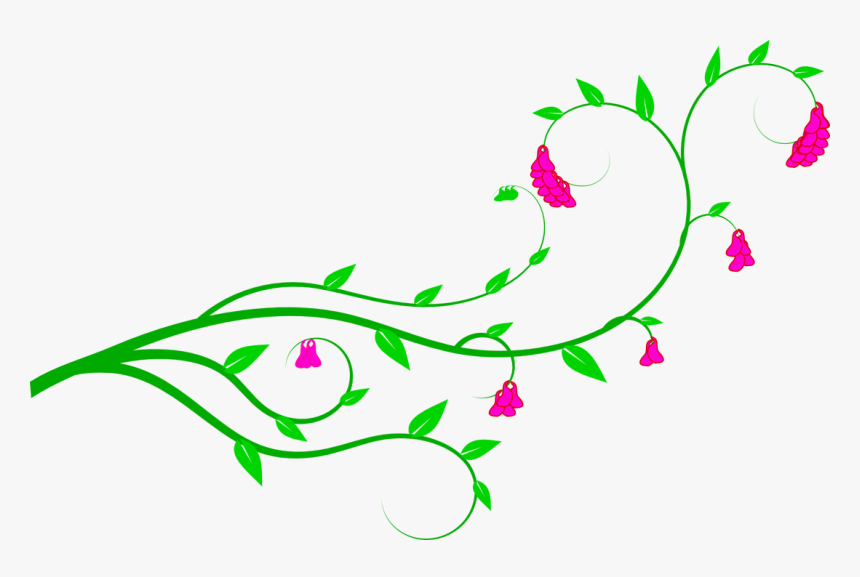 Free Clip Art Pictures - Flower Vine Clipart, HD Png Download