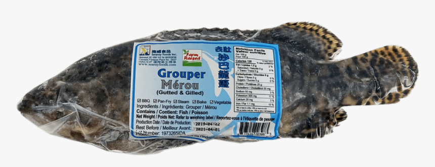 Cecina, HD Png Download