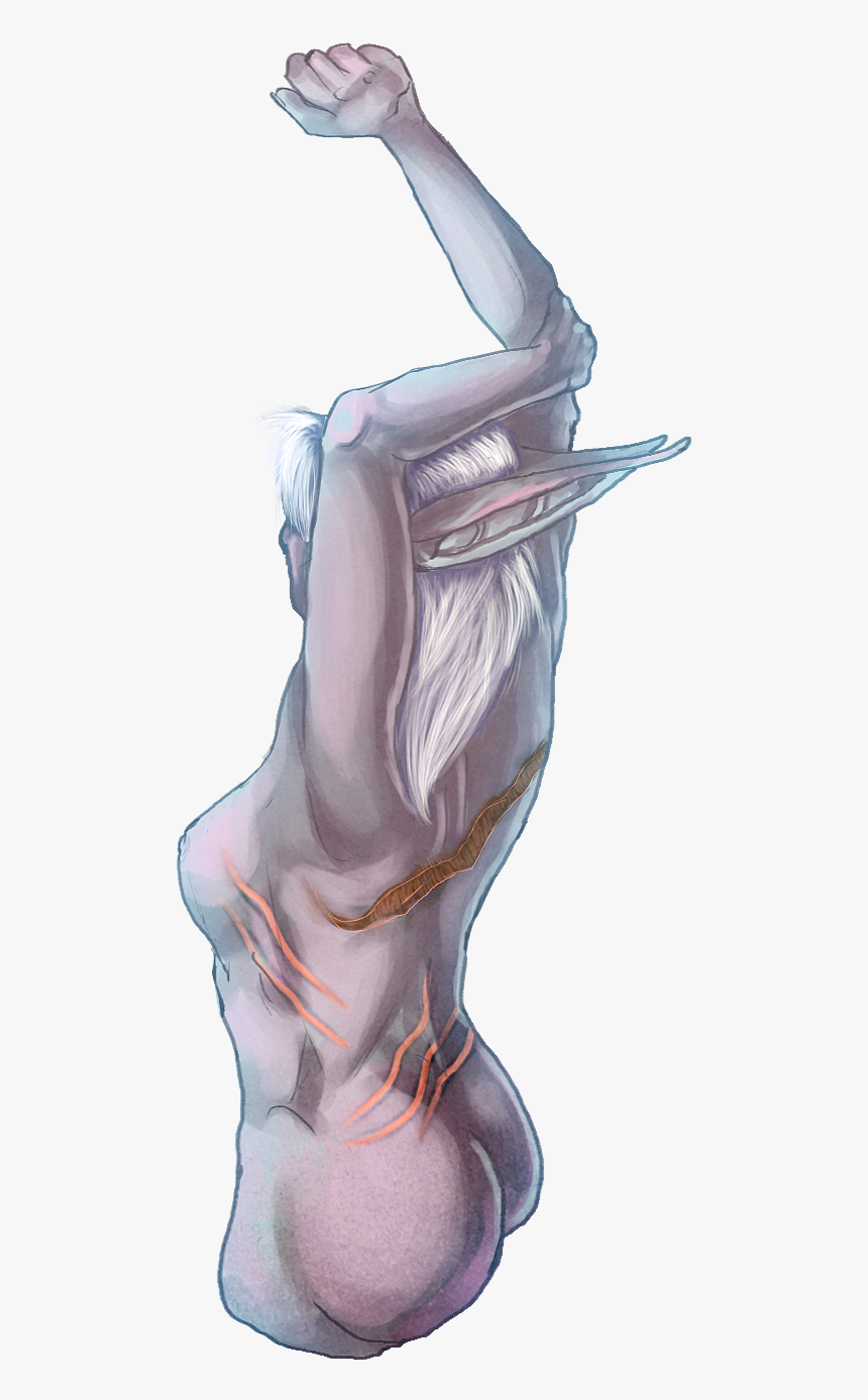 Cute Night Elf, HD Png Download