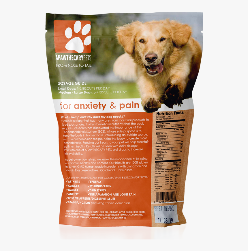 Companion Dog, HD Png Download