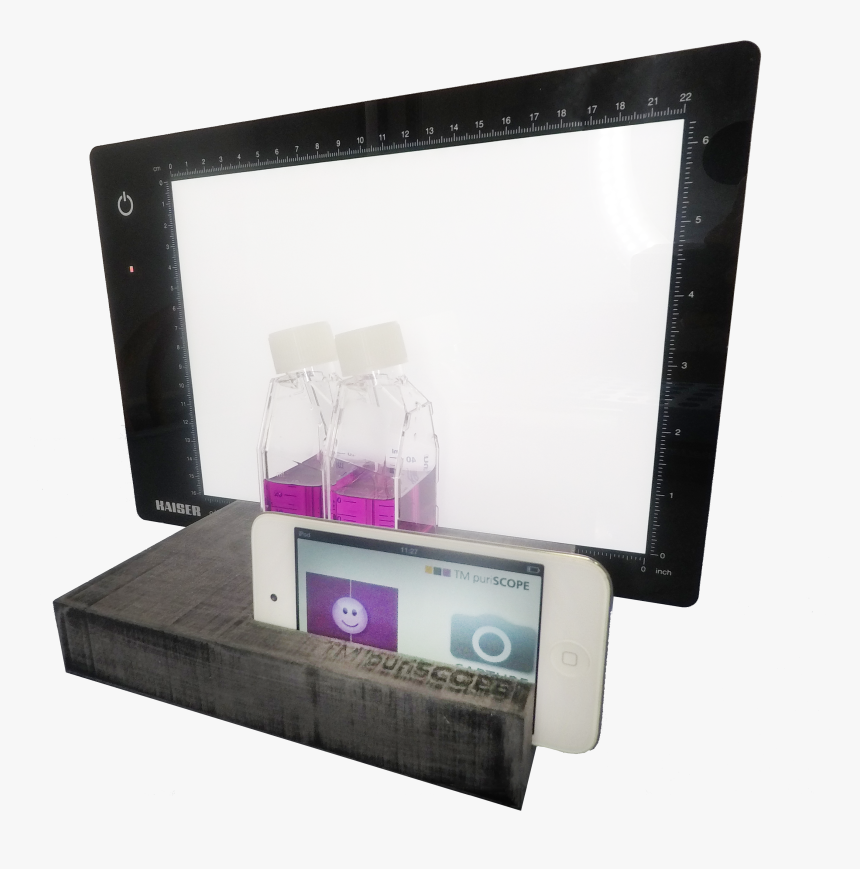 Shelf, HD Png Download