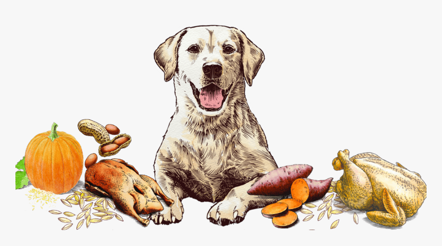 Blissful Biscuit Art - Dog Yawns, HD Png Download