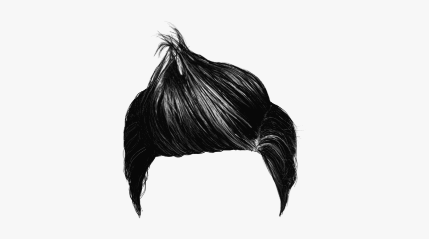 Full Hd Png Download Hair Png, Transparent Png
