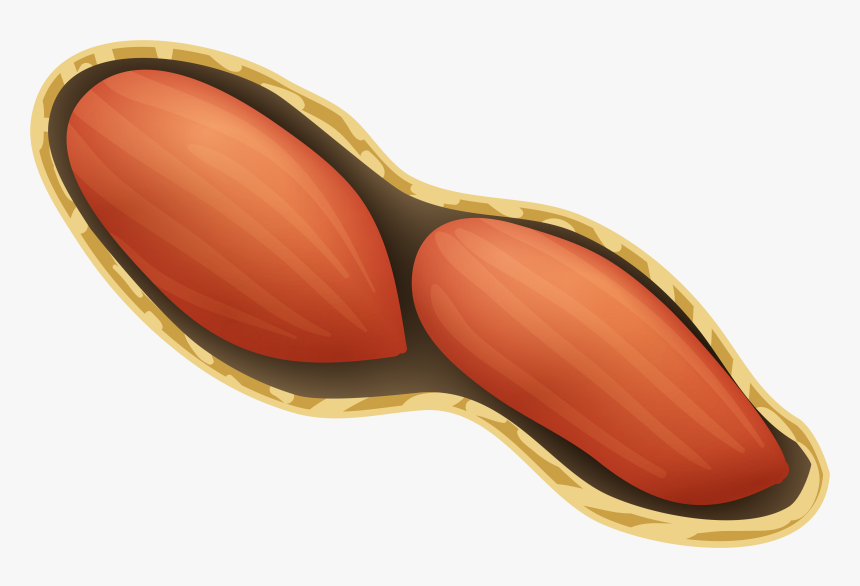 Clipart Peanut Png Transparent Png , Png Download - Peanuts Clip Art Png, Png Download