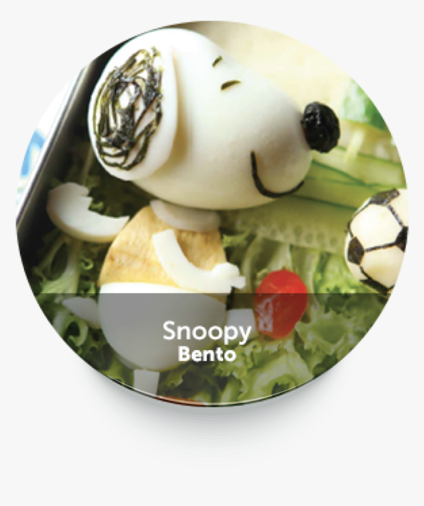 Roundbuttonfunbento-12 - Diet Food, HD Png Download