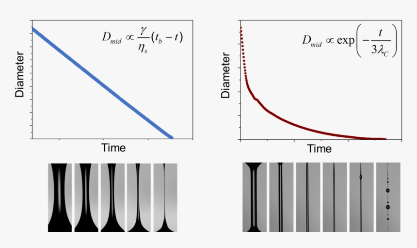 Diagram, HD Png Download