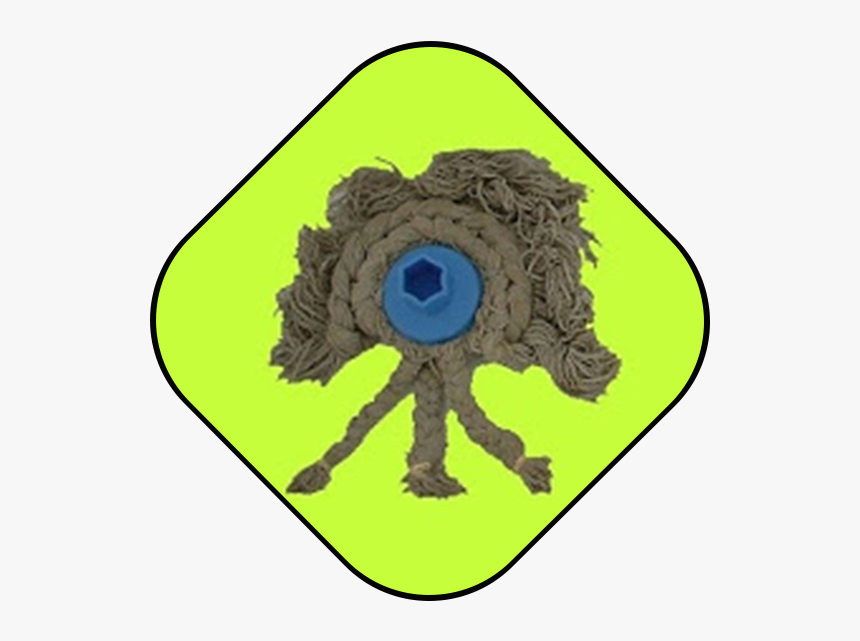 Circle, HD Png Download