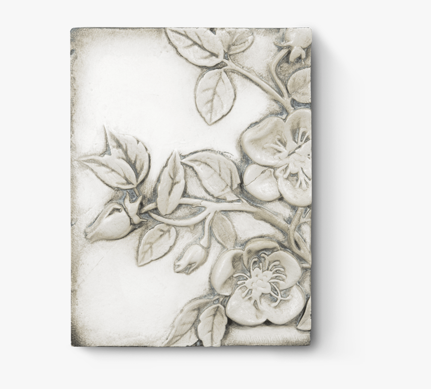 Sketch, HD Png Download