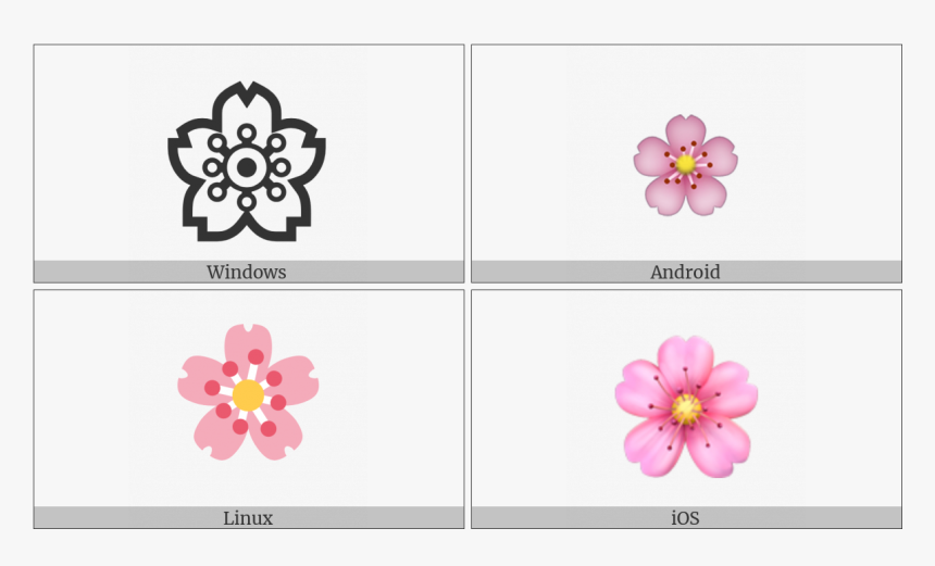 Cherry Blossom On Various Operating Systems - Rosa Rubiginosa, HD Png Download