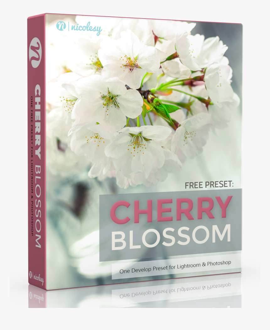 Free Lightroom Preset - Free Lightroom Preset Cherry Blossom, HD Png Download