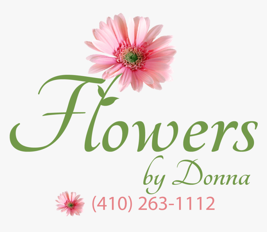 Flowers By Donna - African Daisy, HD Png Download