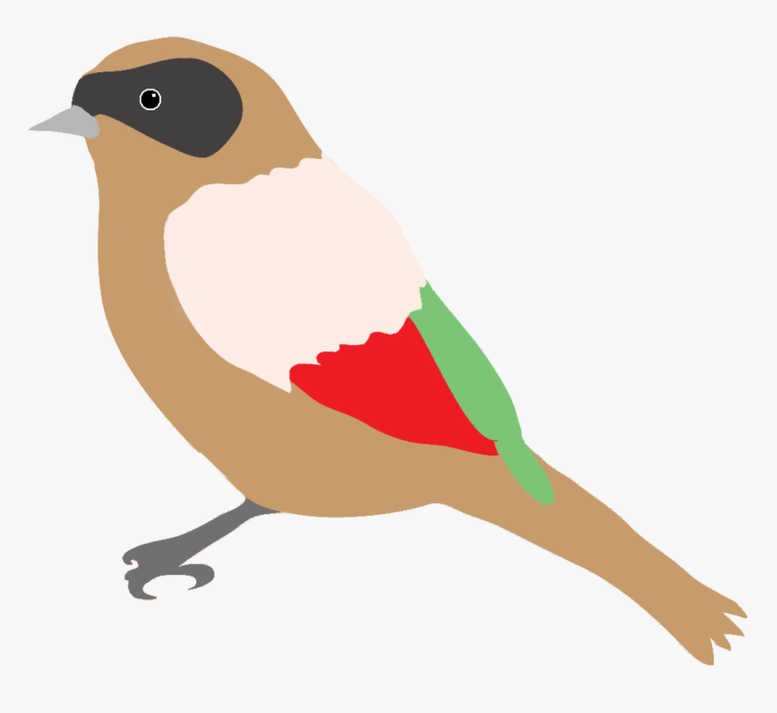 Dompaplike Bird With Colors - Bird Png Drawing, Transparent Png