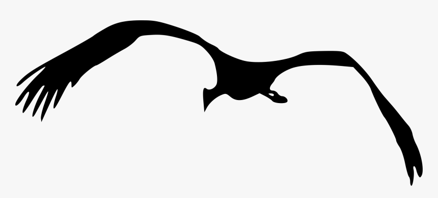 Transparent Bird Drawing Png - Bird Drawing Simple, Png Download