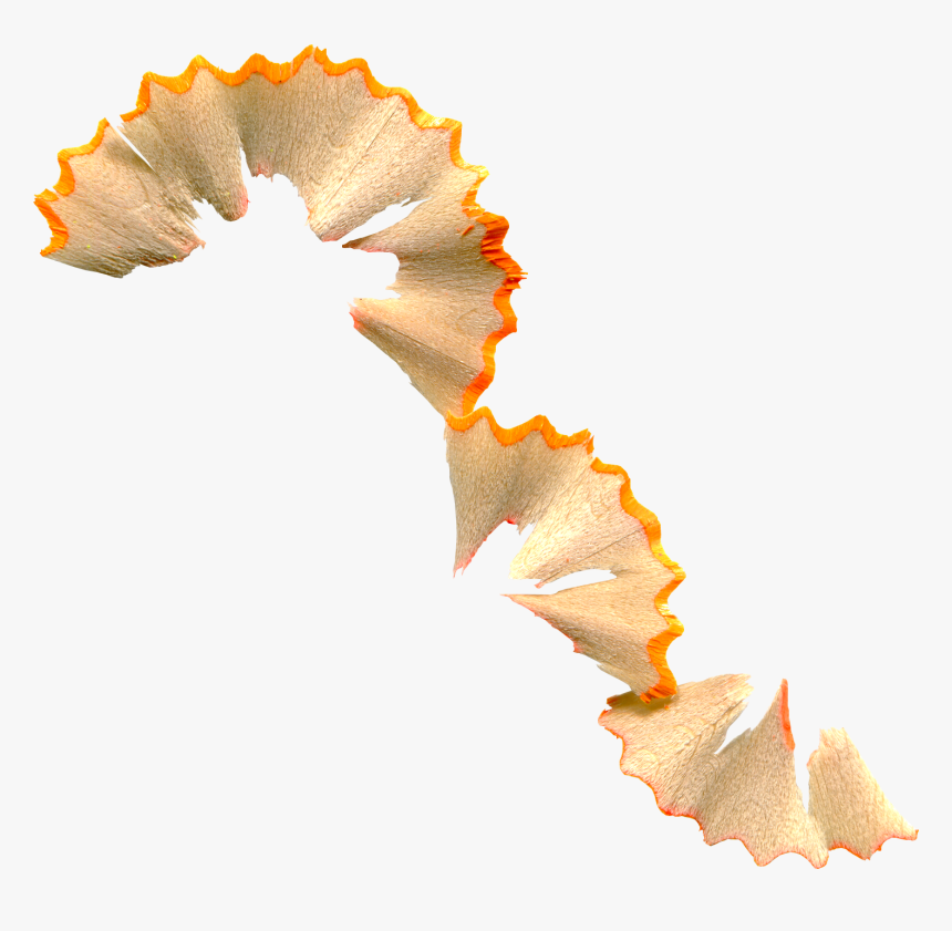 L Piz Clip Art Naranja Largas Virutas Ⓒ - Pencil Shavings Transparent Background, HD Png Download