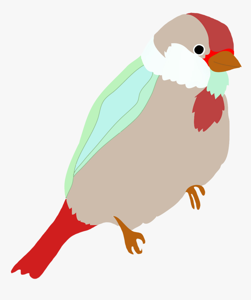 Sparrow Colored - Colored Bird Logo Png, Transparent Png