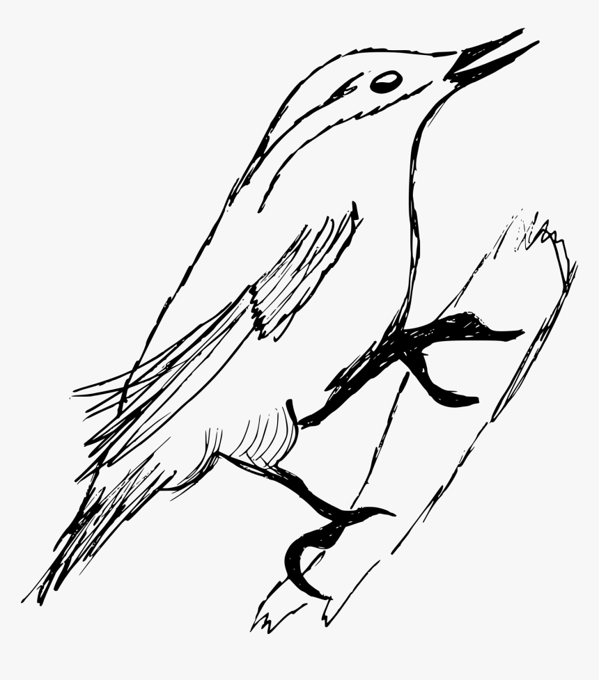 Old World Flycatcher, HD Png Download