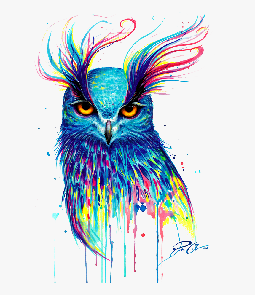 T-shirt Owl Painting Bird Drawing Free Download Image - Pixie Cold Owl, HD Png Download
