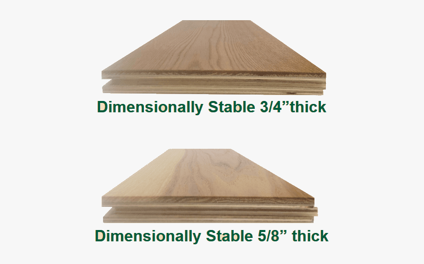 Picture, HD Png Download