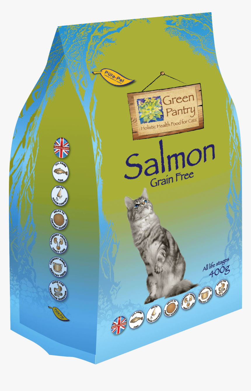 Cat, HD Png Download