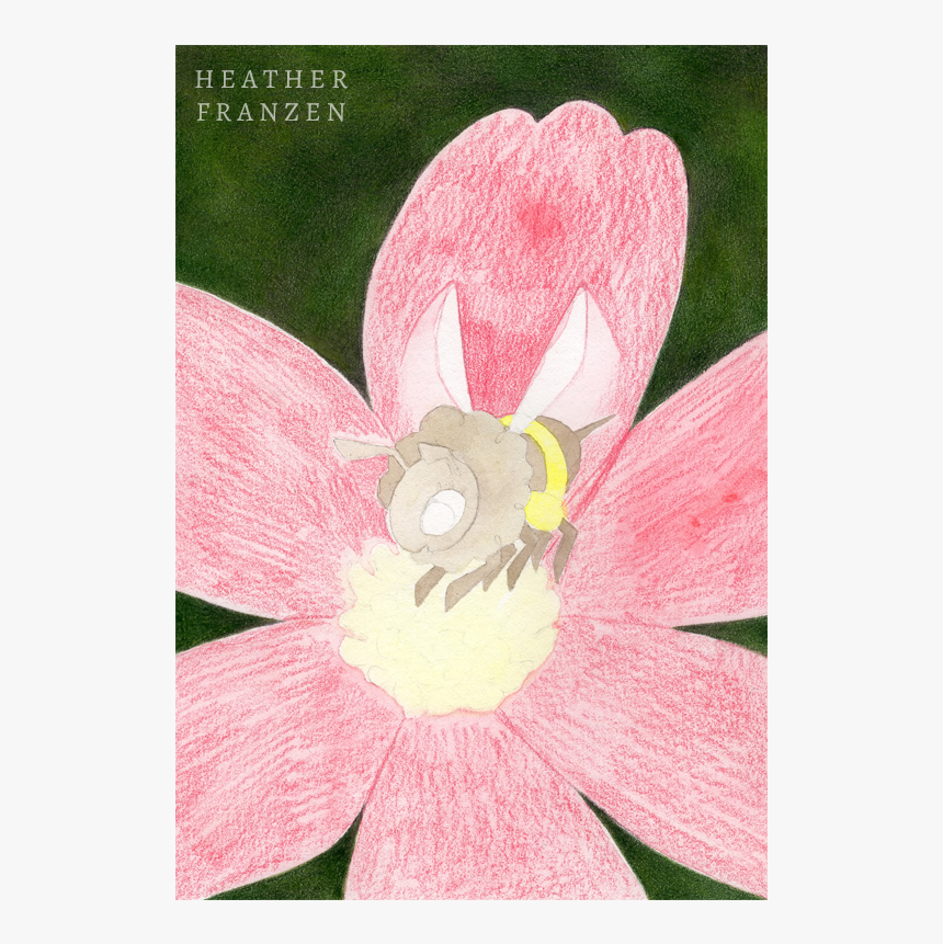 Sacred Lotus, HD Png Download