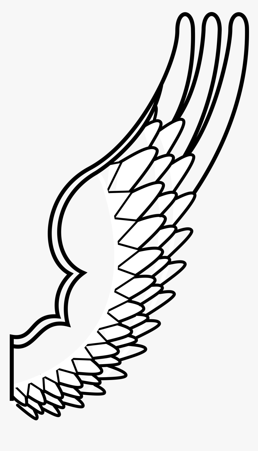 Black And White Clipart Bird Wing, HD Png Download