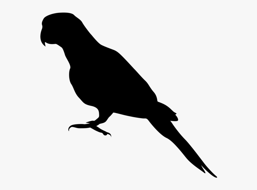 Parrot Bird Drawing Silhouette Clip Art - Parrot Silhouette Transparent, HD Png Download