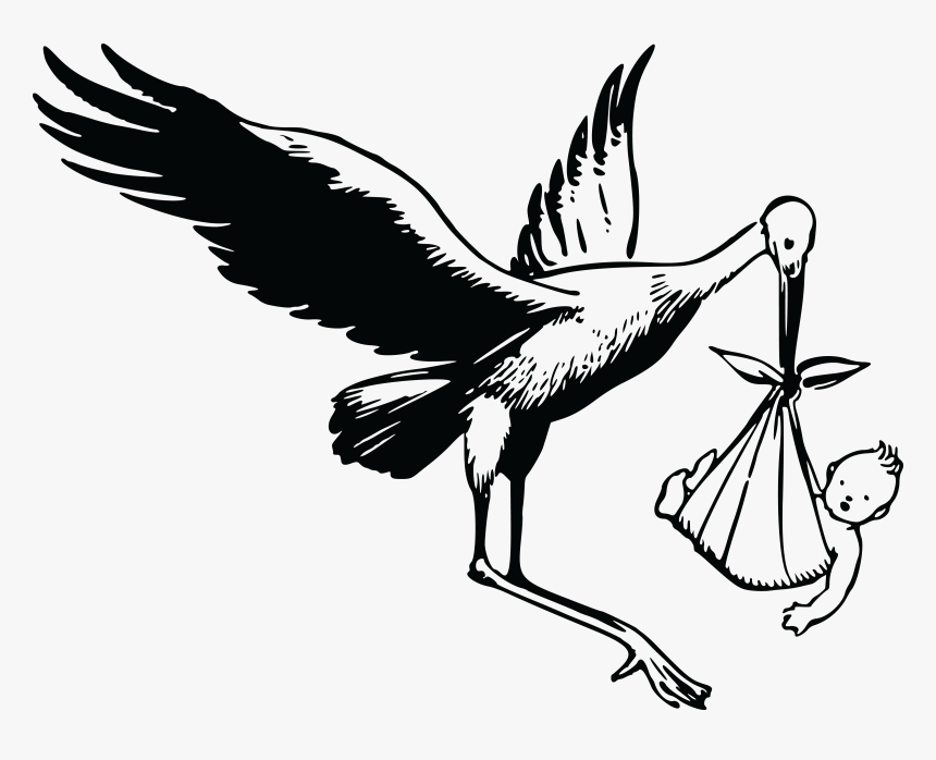Art,monochrome Photography,galliformes - Stork Clipart Black And White, HD Png Download