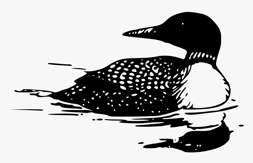 Common Loon Tattoo Bird Drawing Clip Art - Loon Clipart, HD Png Download
