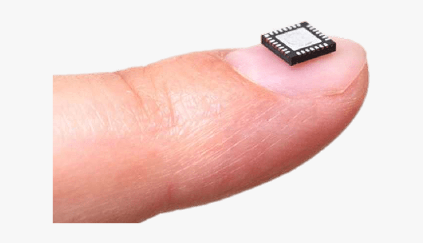 Microchip On Fingernail - Microchips Png, Transparent Png