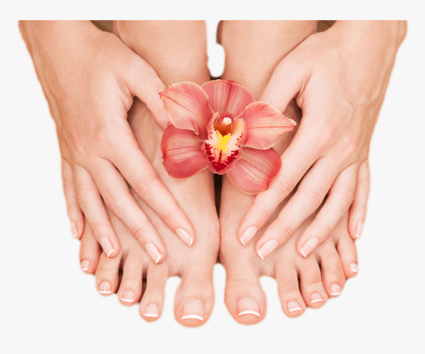 Nails Png Image Purepng - Nail, Transparent Png