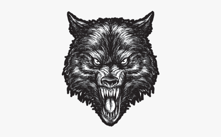 Wolf - Rob Darken Robert Fudali Graveland Band, HD Png Download