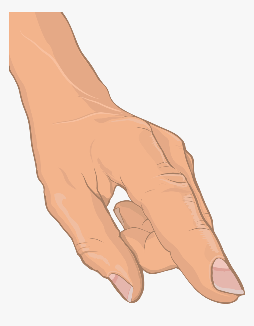 Anatomical Drawing Of Human Hand - Sketch, HD Png Download