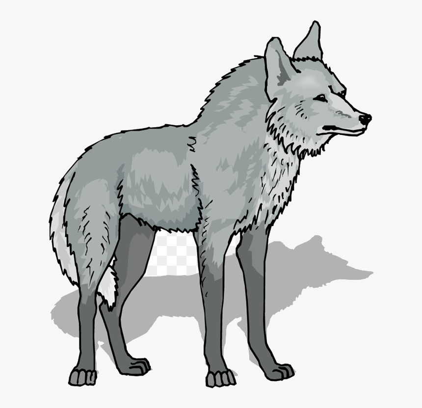 Wolf Gray Free Content Stockxchng Line Art Wildlife - Transparent Background Wolf Clipart, HD Png Download