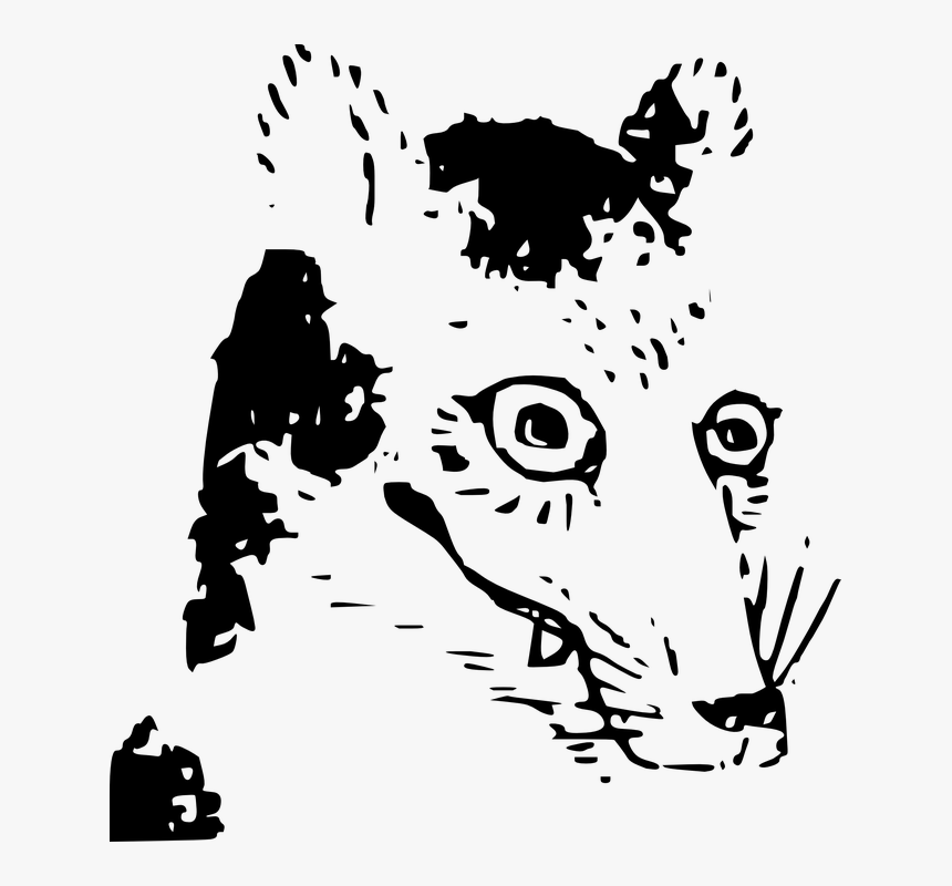 Dog, Wolf, Snout, Canine, Animal, Head, Mammal - Illustration, HD Png Download