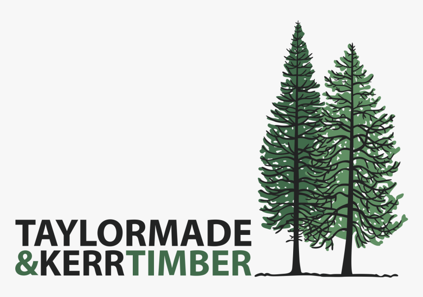 Christmas Tree, HD Png Download