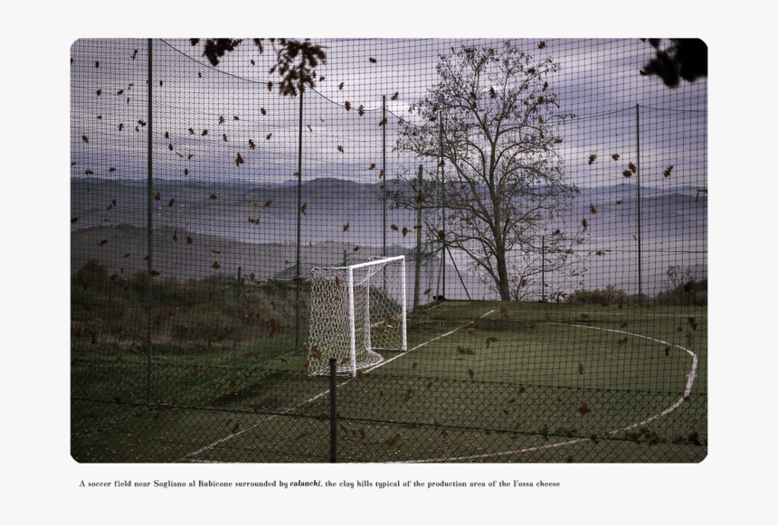 08 - Net, HD Png Download