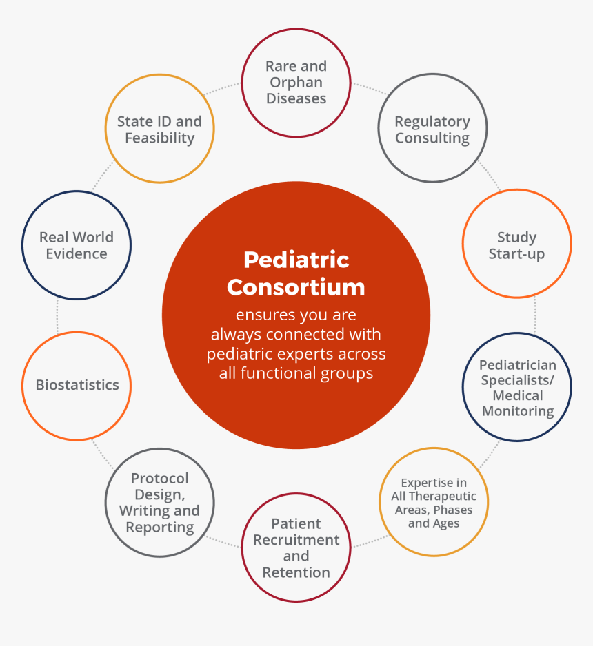 Pediatrician Area Of Study, HD Png Download