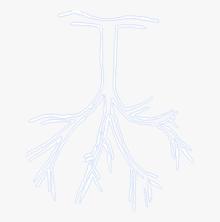 Rappers Drawing Sketch - Roy Woods Tree Transparent, HD Png Download