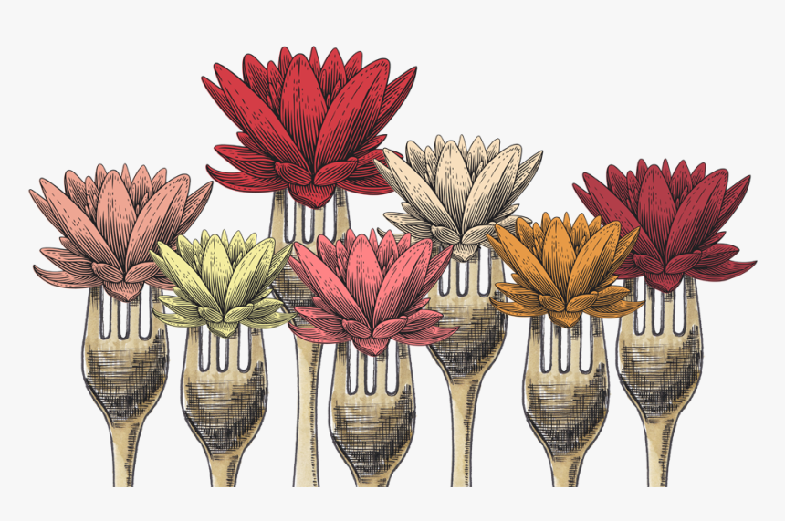 Lotus Leaf Png, Transparent Png