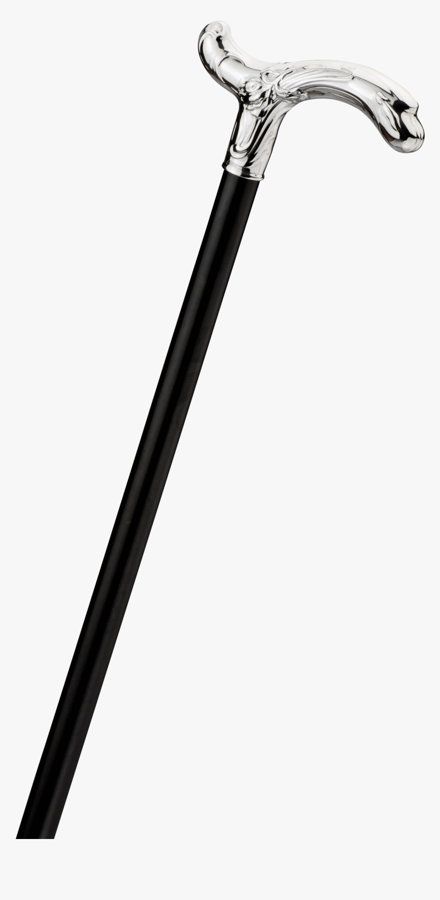Walking Stick Png Image - Walking Stick, Transparent Png