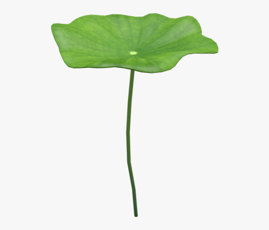 Coltsfoot, HD Png Download