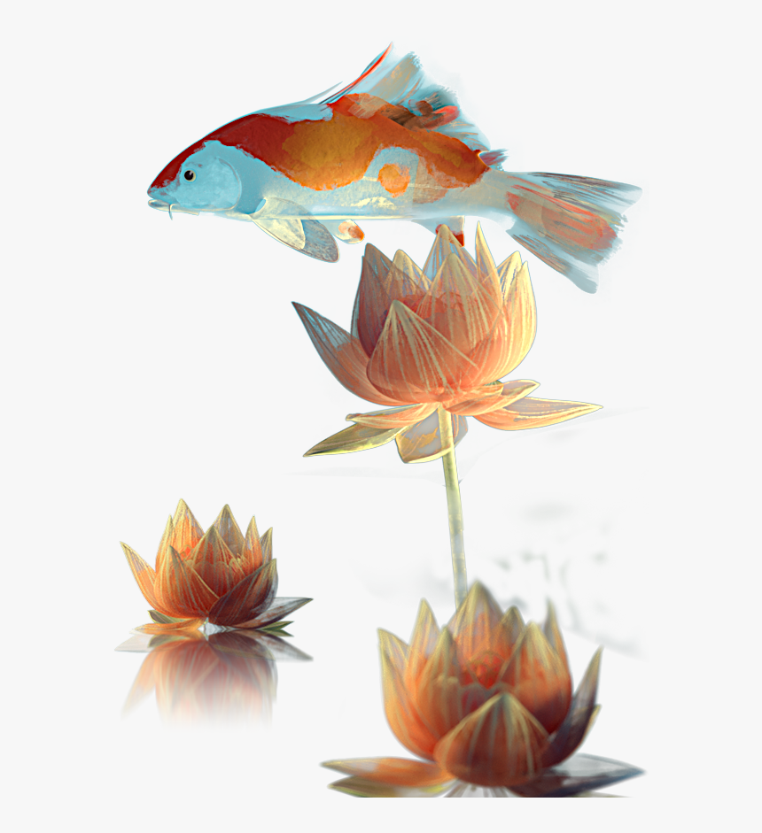 Magic Lotus Automaton - Water Lily, HD Png Download