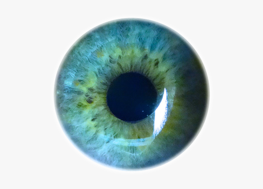 Picture - Circle, HD Png Download